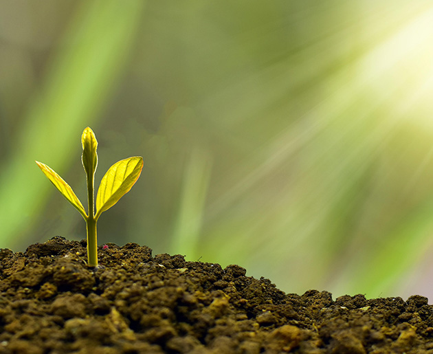 Vaughan CU Investment Products